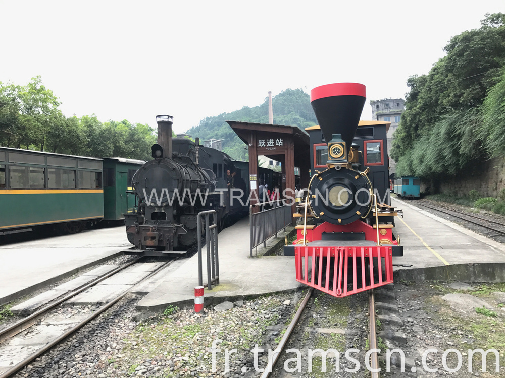 sightseeing trains newest steam locomotive at station